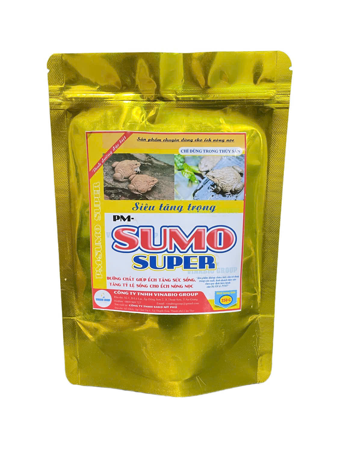 PM-SUMO Nòng nọc