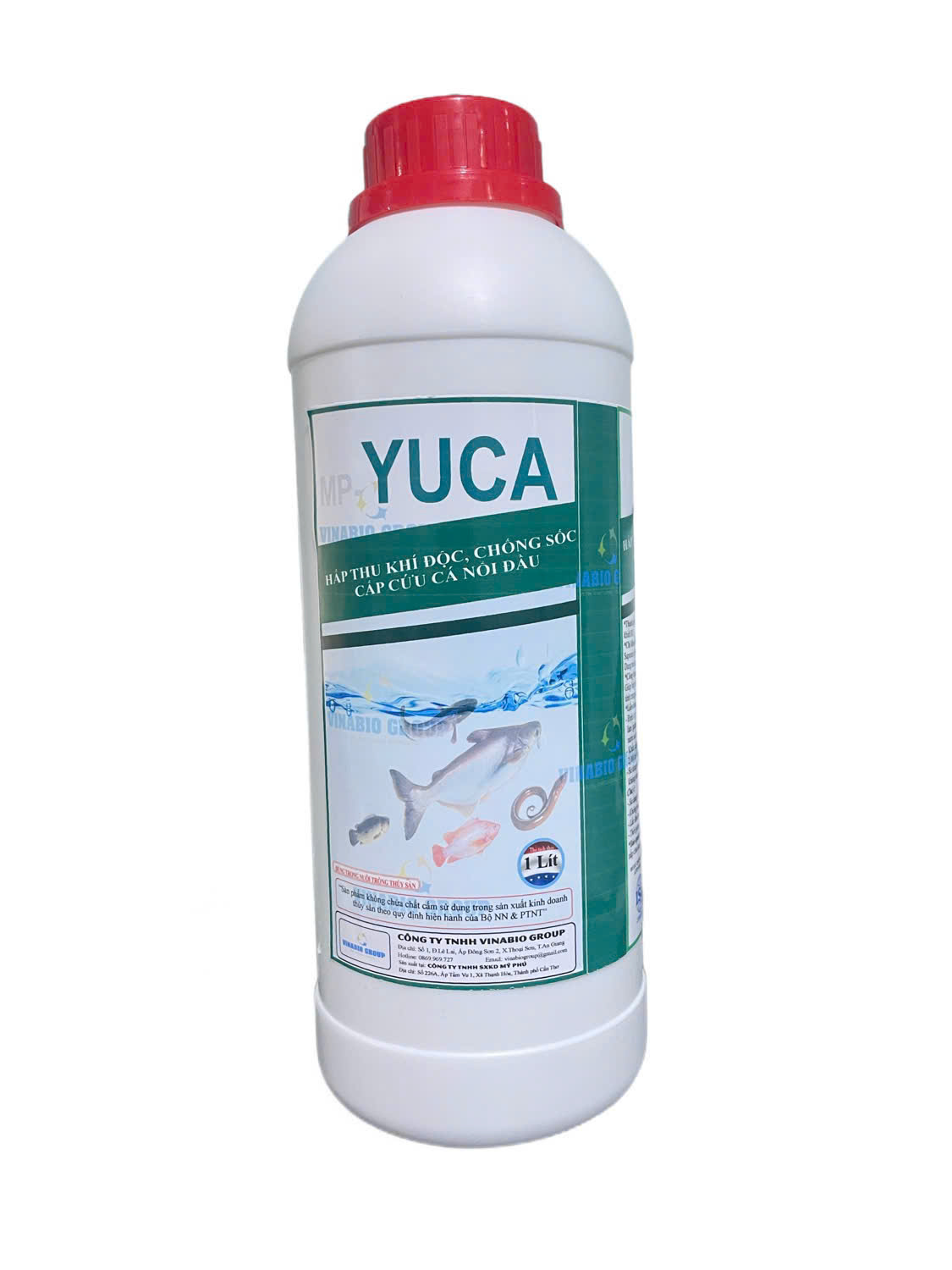 TM YUCA